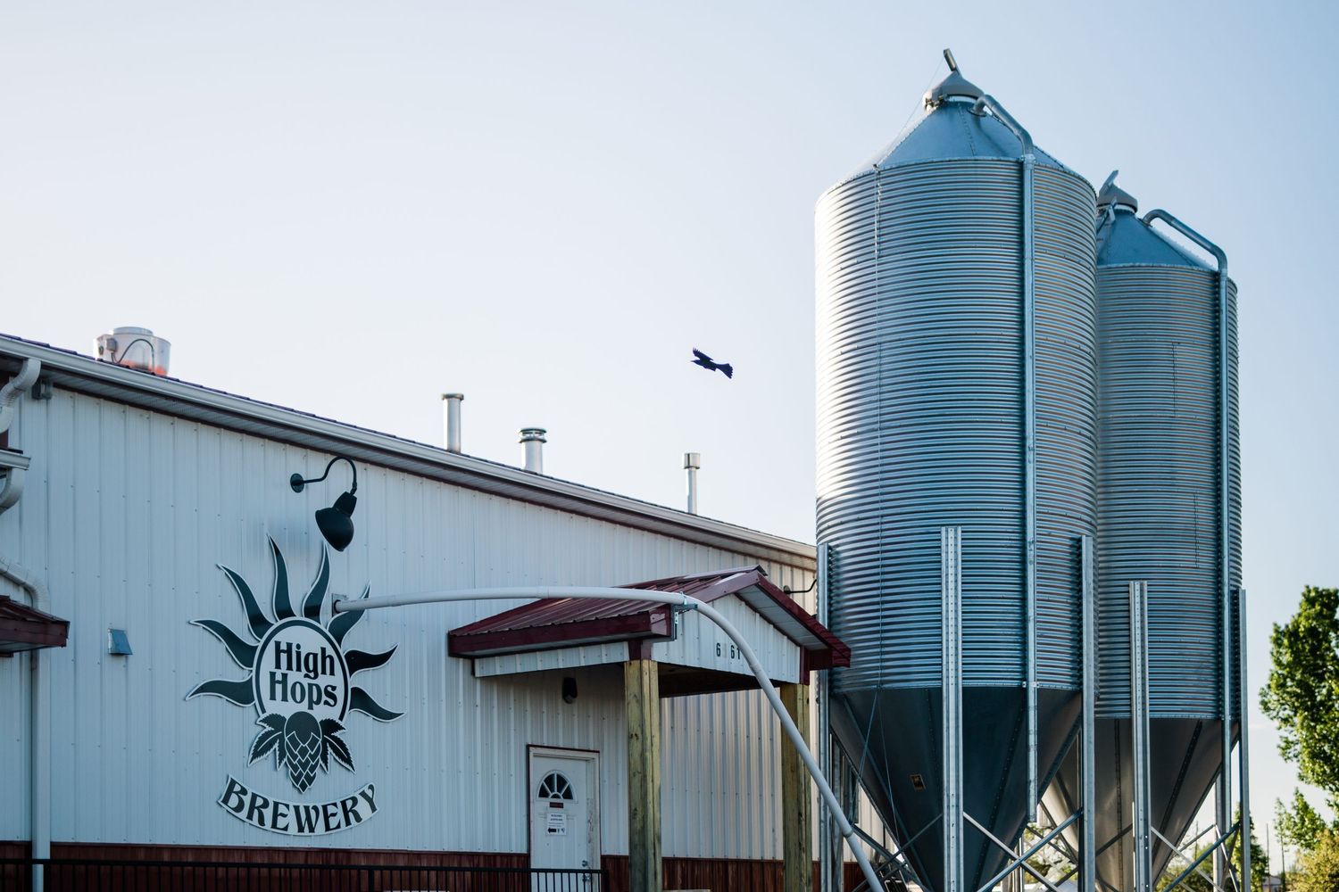 Row of large metal grain silos and white industrial buildings at a brewery facility against blue sky.