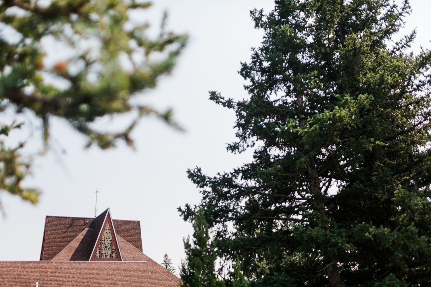 A brown brick house with a peaked roof and dormer windows is nestled among tall evergreen trees in a wooded setting.