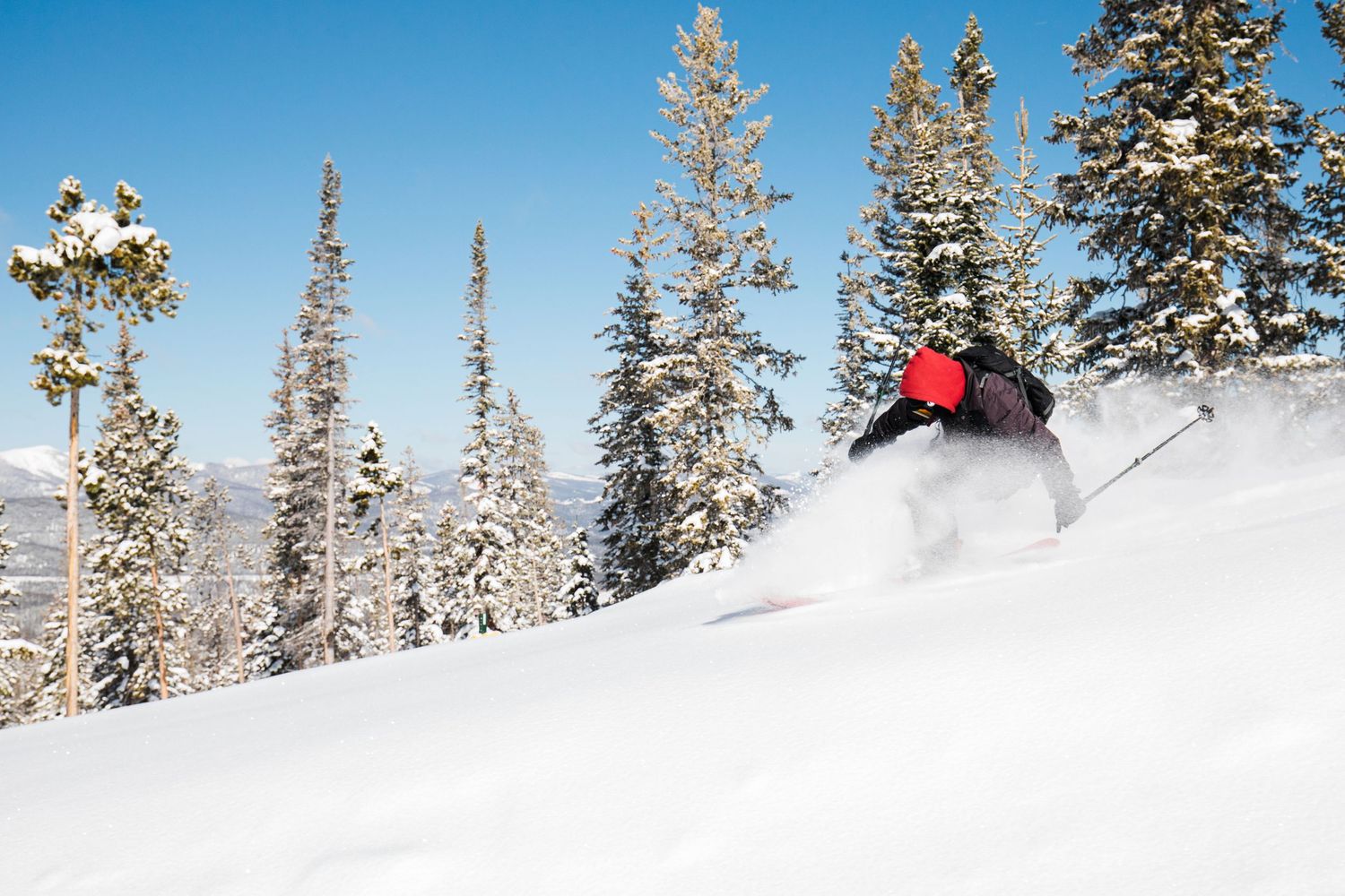 Snow sports enthusiast carving through deep powder between snow-covered pine trees on a winter mountain.