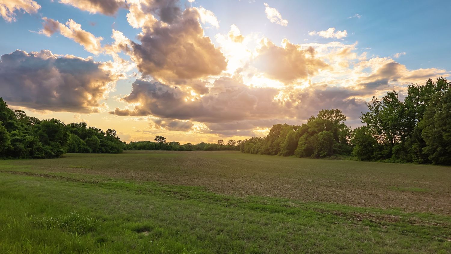 Dramatic sunset over a rural field with golden clouds and sunbeams breaking through.