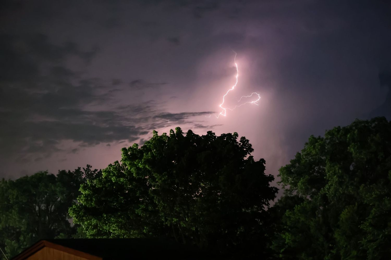 Lightning bolt illuminates night sky above dark tree silhouettes.