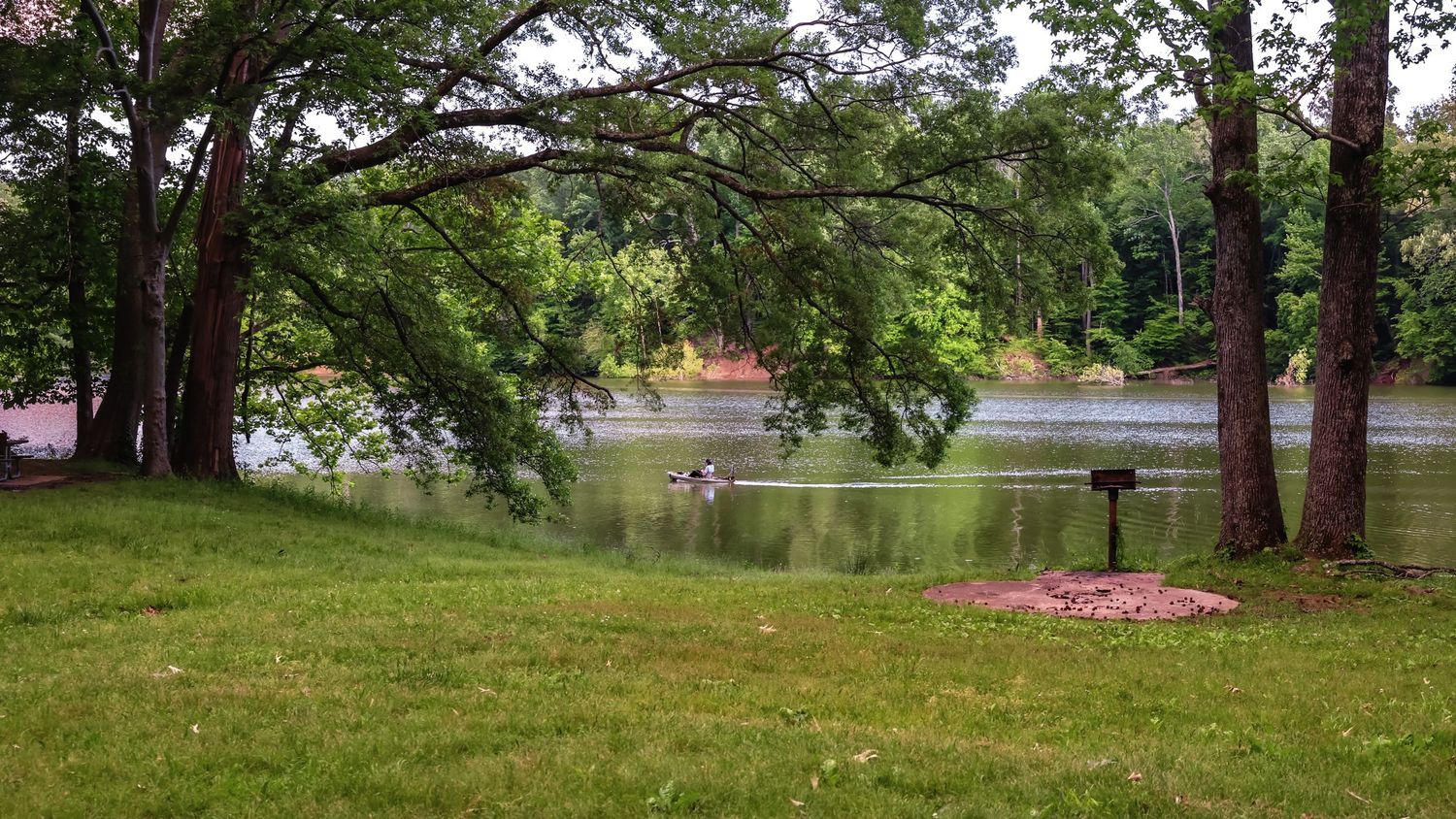 Tranquil lake view through trees with grassy shore in the foreground.
