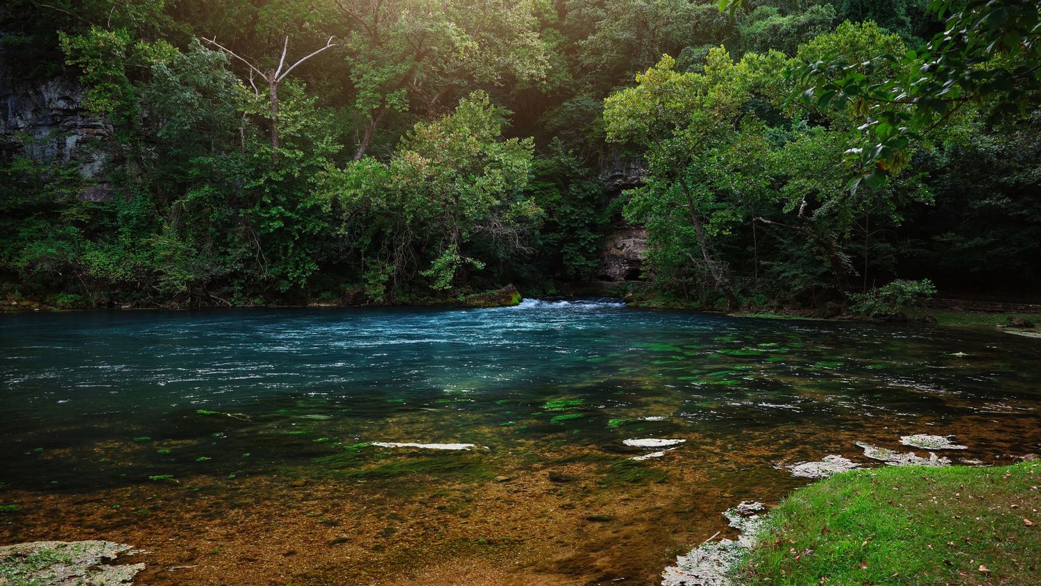 Crystal clear turquoise stream flows through lush green forest.