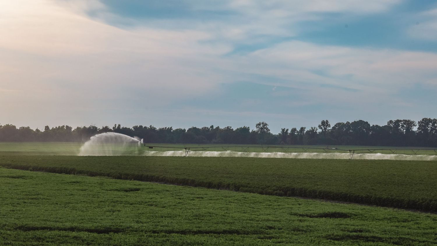 Agricultural irrigation system sprays water over a green farm field.