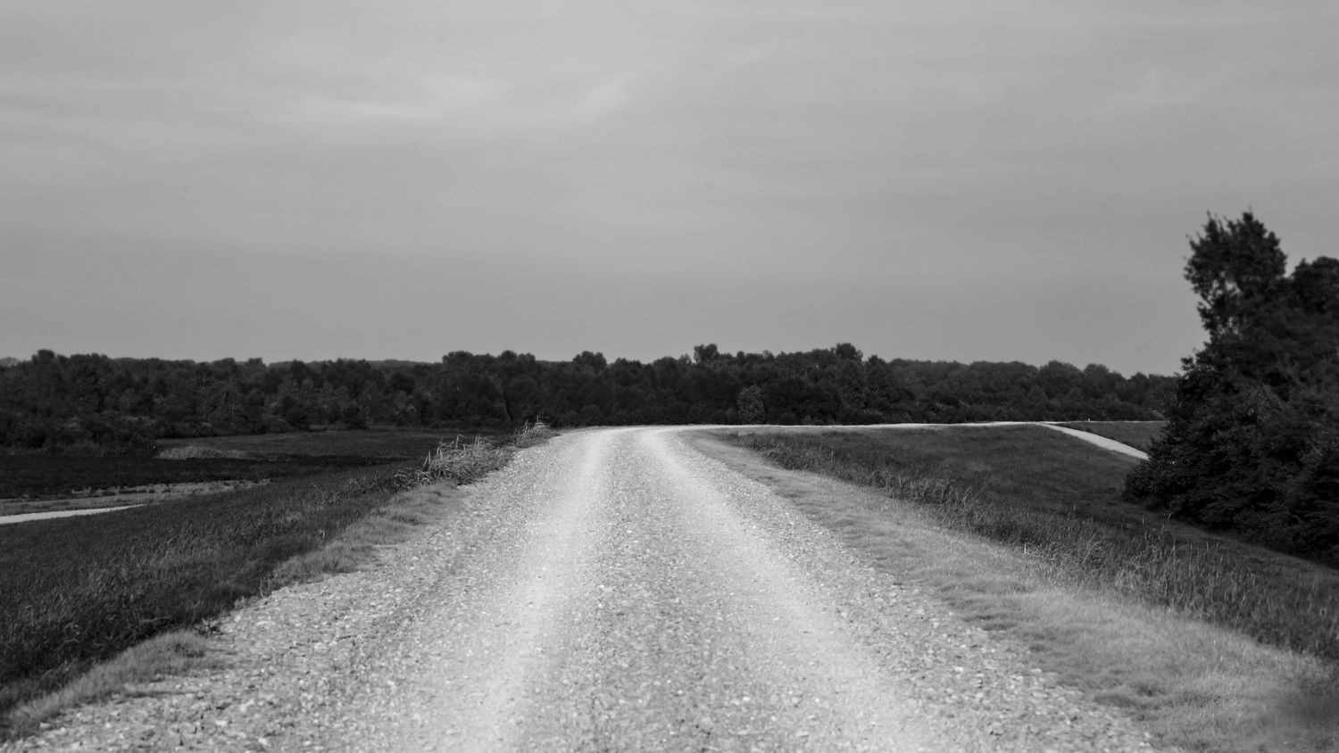 Black and white photograph of an empty rural dirt road stretching to the horizon.