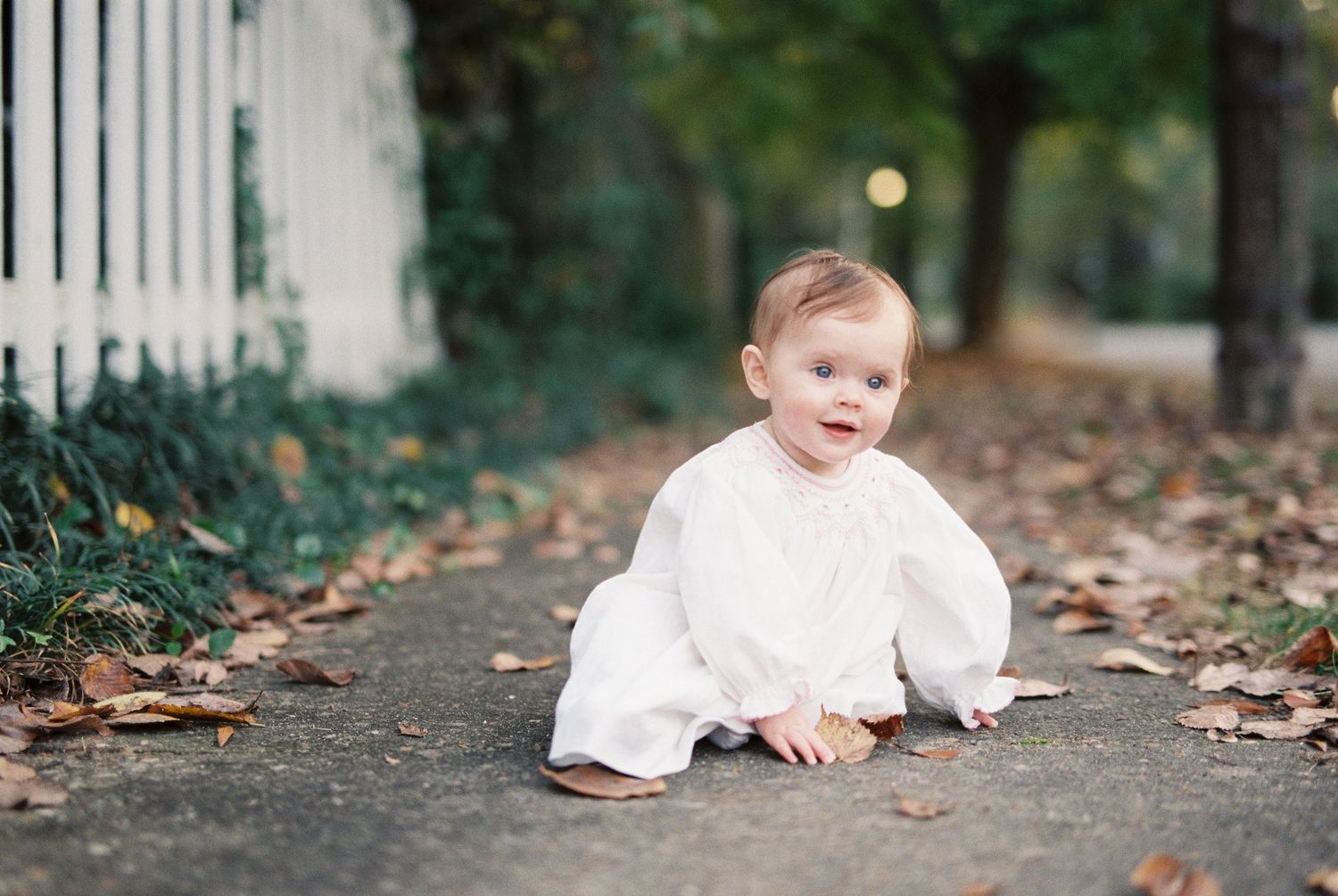 Williamsburg Film Family Photography