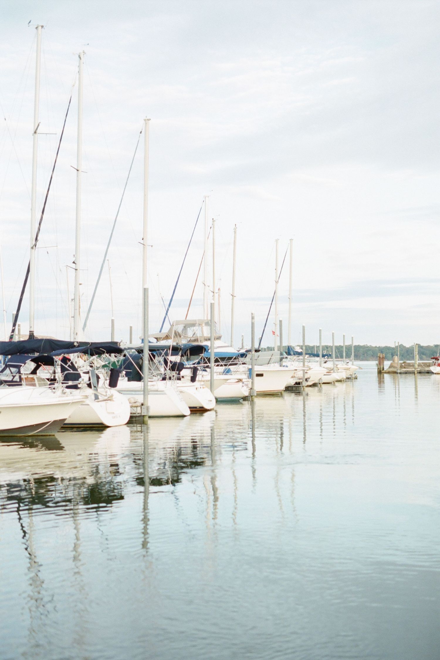 Williamsburg Family Lifestyle  Film Photography