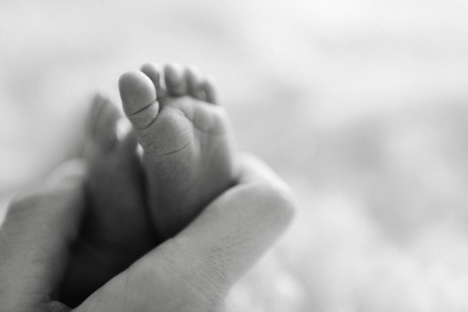 Williamsburg Newborn Lifestyle Film Photographer