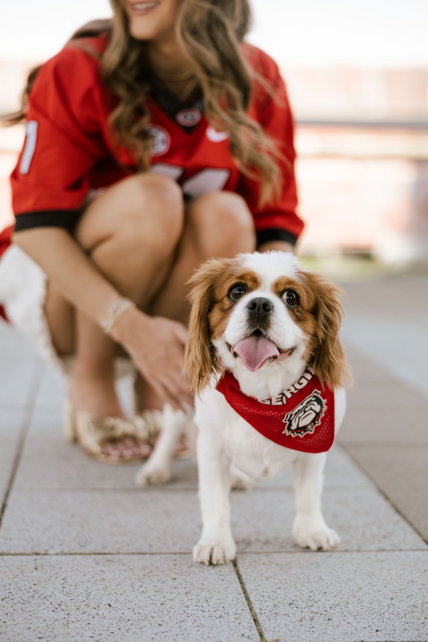 Cavalier King Charles Spaniel wearing a red Georgia Bulldogs bandana poses on pavement with a woman in a red jersey.