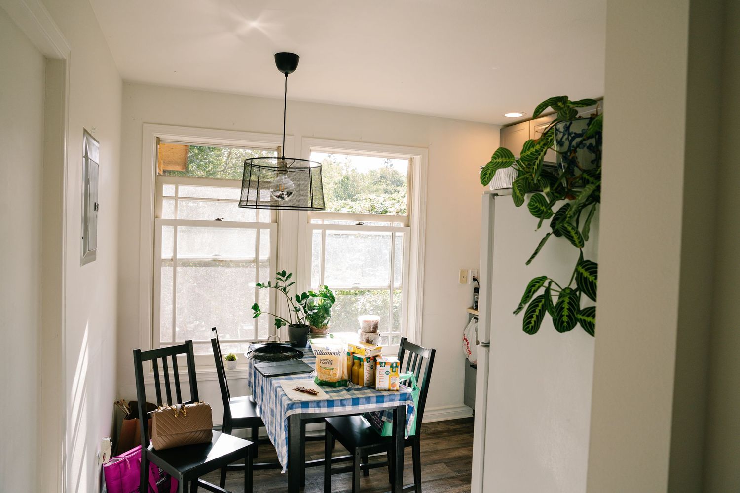 A bright modern apartment interior with white walls, houseplants, and natural light streaming through large windows.