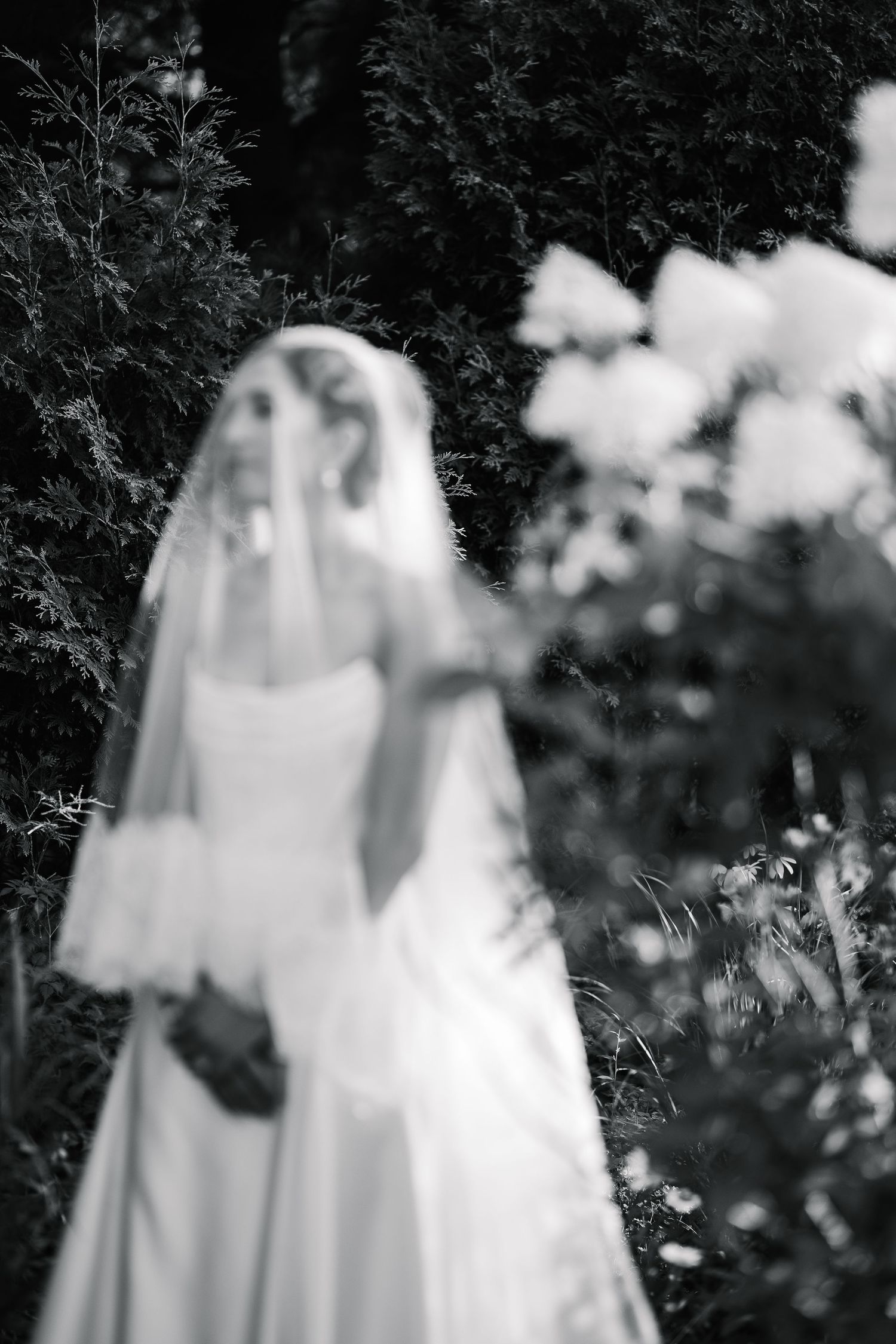 A dreamy black and white photograph of a flowing wedding dress and veil against a dark garden background.