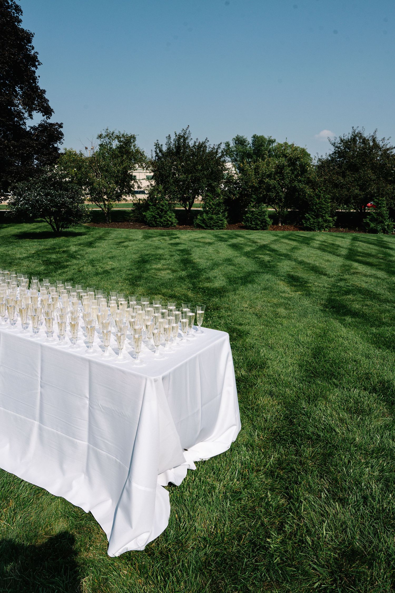 A long table with white tablecloth and rows of empty champagne glasses set up on a green lawn for an outdoor event.
