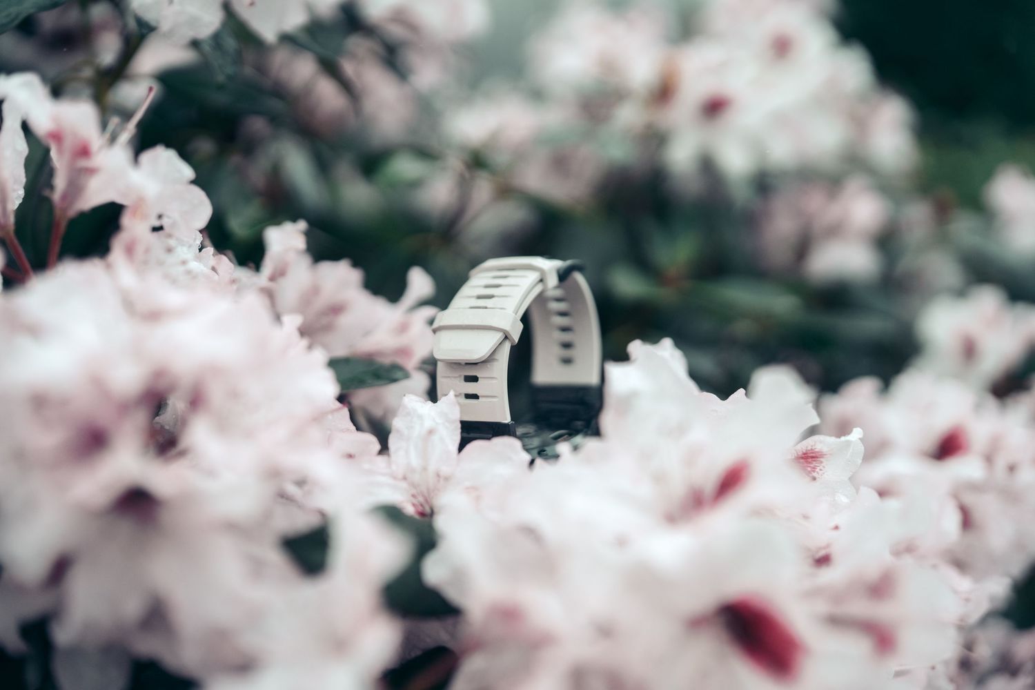 A white digital wristwatch nestled among soft pink blooming flowers in a dreamy, blurred garden setting.