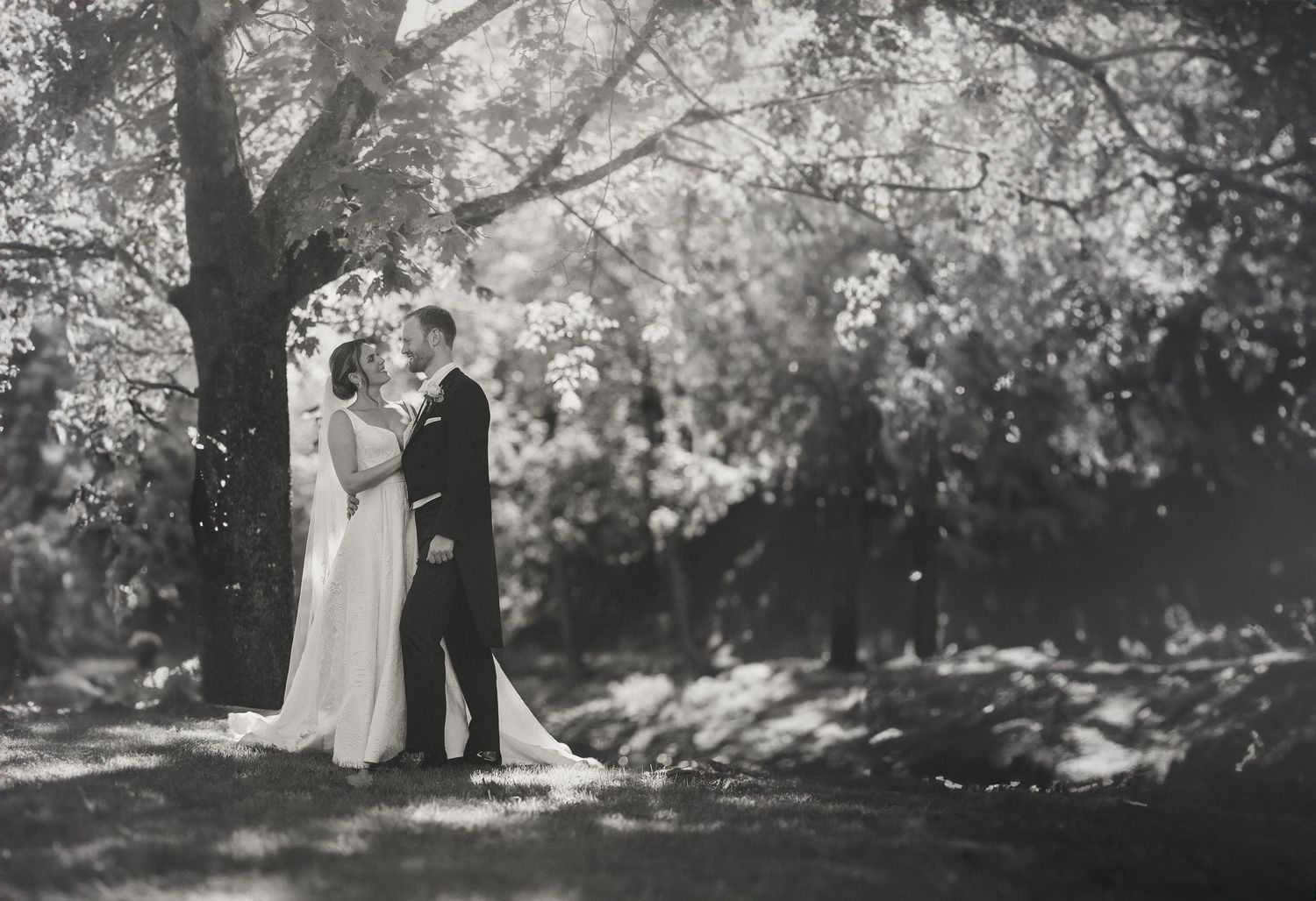 Black and white wedding photographs captured under blooming trees with soft lighting.
