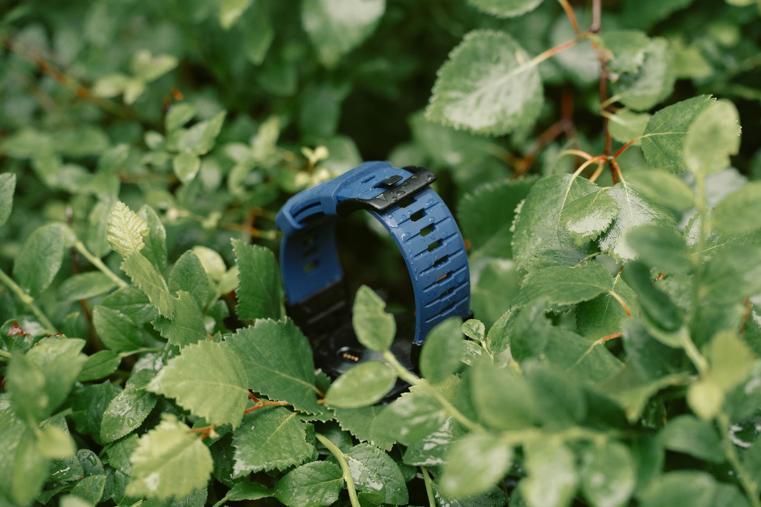 A blue smartwatch resting among lush green leaves with water droplets, displayed outdoors in natural light.