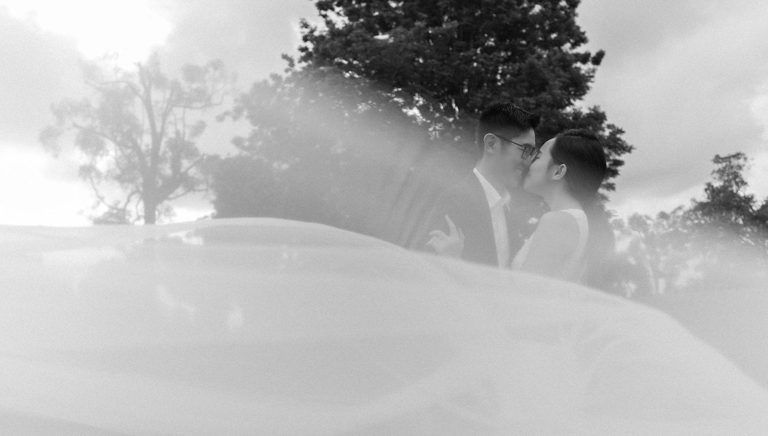 Black and white wedding photo of a couple embracing outdoors near a large tree, with a flowing bridal veil.
