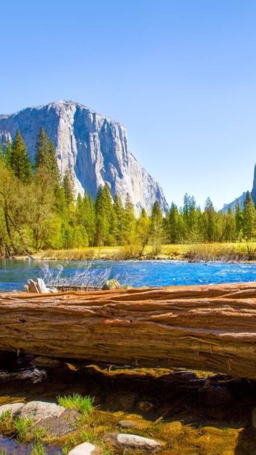 El Capitan reflected in Merced River with fallen log foreground in Yosemite National Park, California.