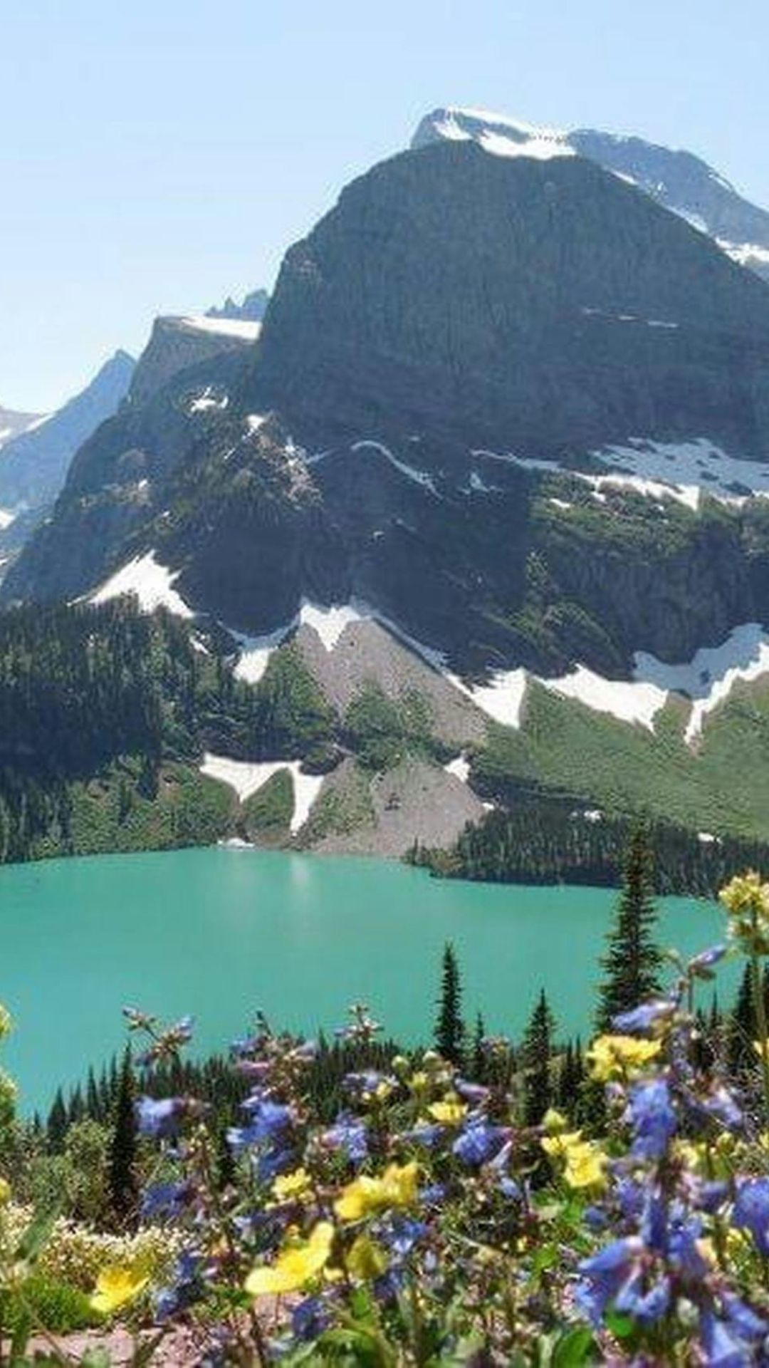 Turquoise Grinnell Lake surrounded by mountains with wildflowers in foreground at Glacier National Park.