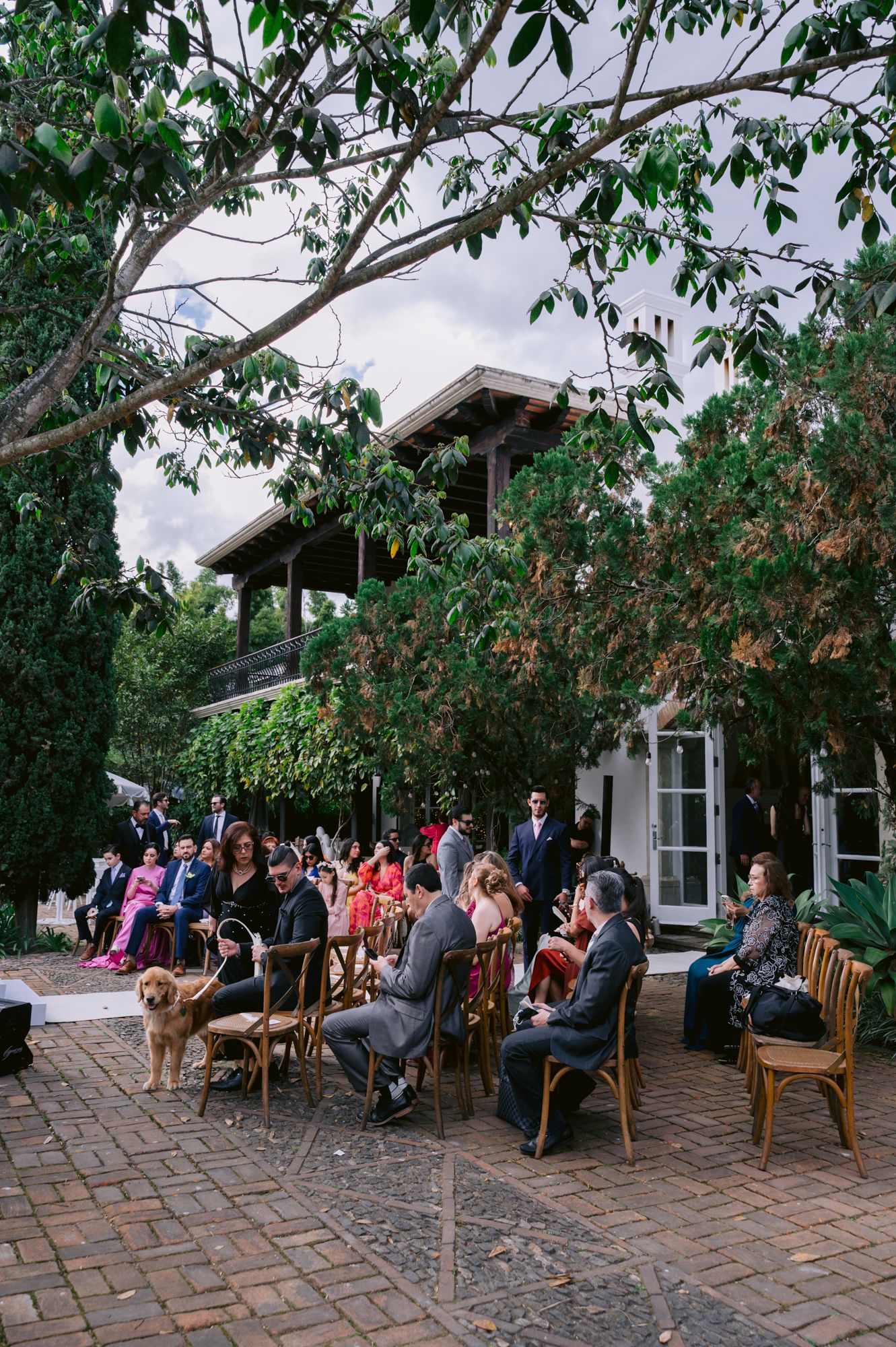 Wedding guests seated outdoors on wooden chairs beneath leafy trees during an elegant garden ceremony.