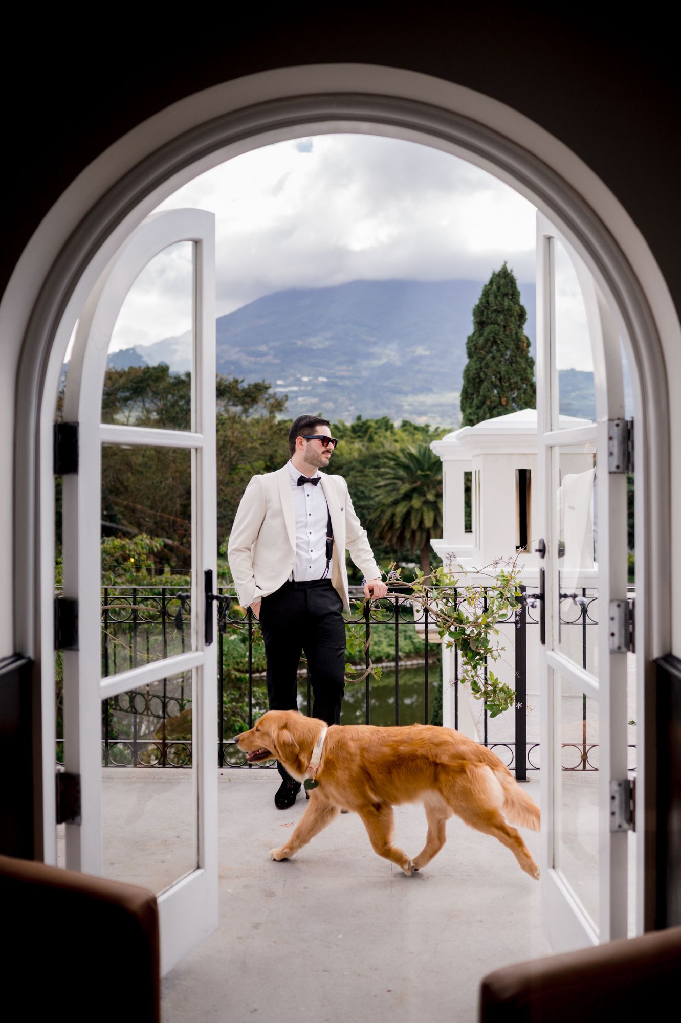 A dog and person walk through a series of elegant white archways overlooking a scenic mountain landscape.
