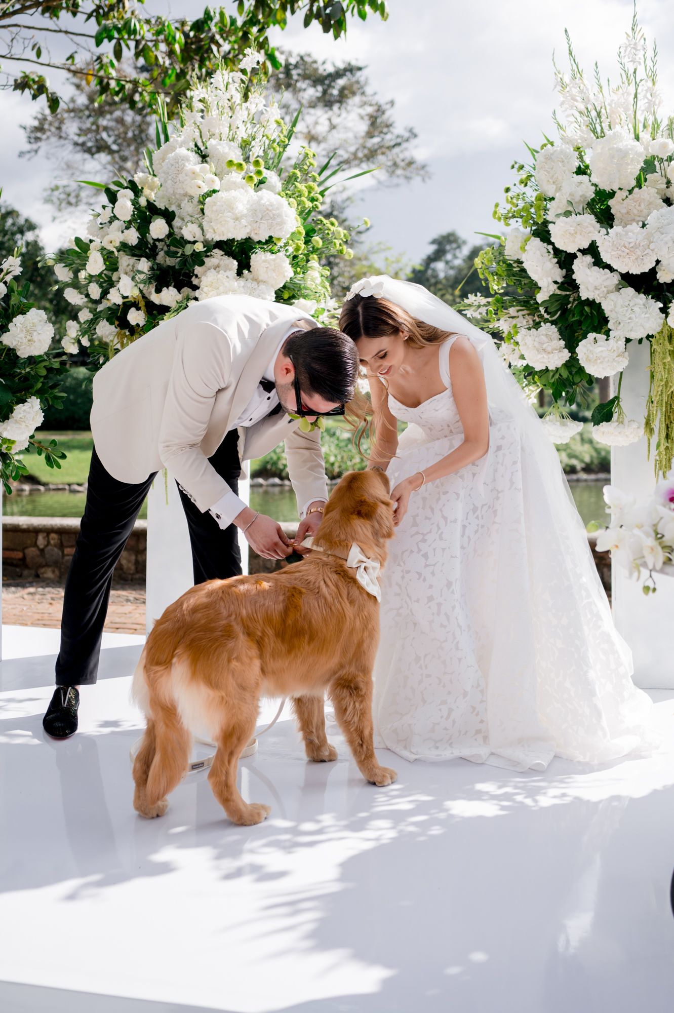 Golden retriever dog poses with bride in white dress against floral wedding backdrop.