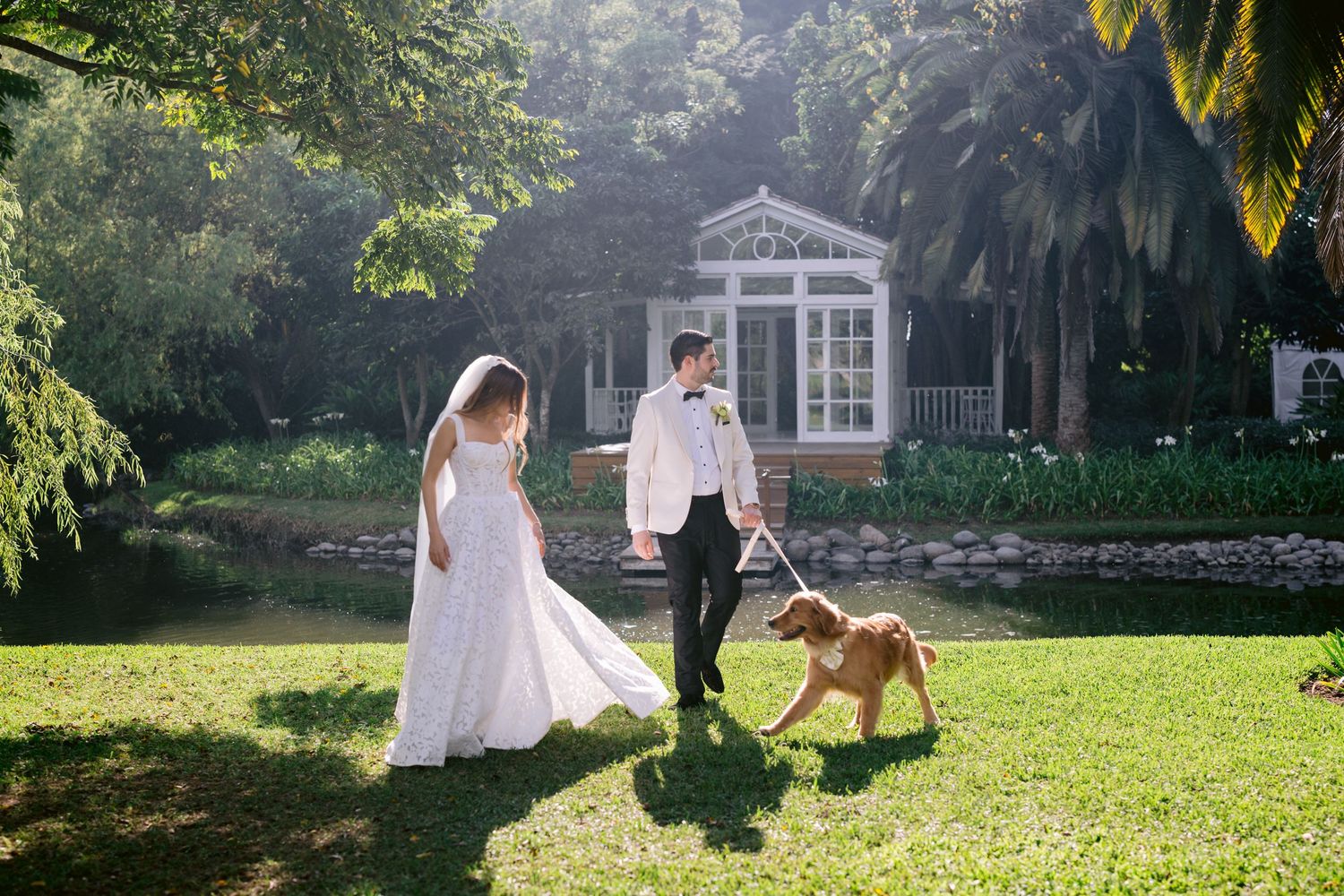 A couple walks their golden retriever through a garden setting on their wedding day with a gazebo in background.