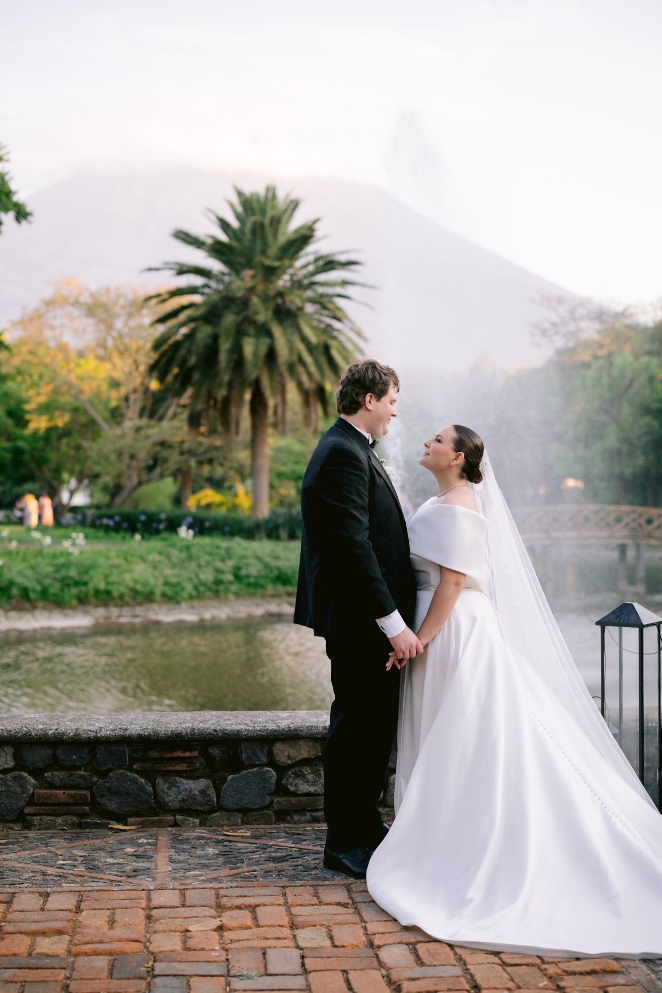 Elegant wedding couple poses by pond with palm tree and mountain vista in background.