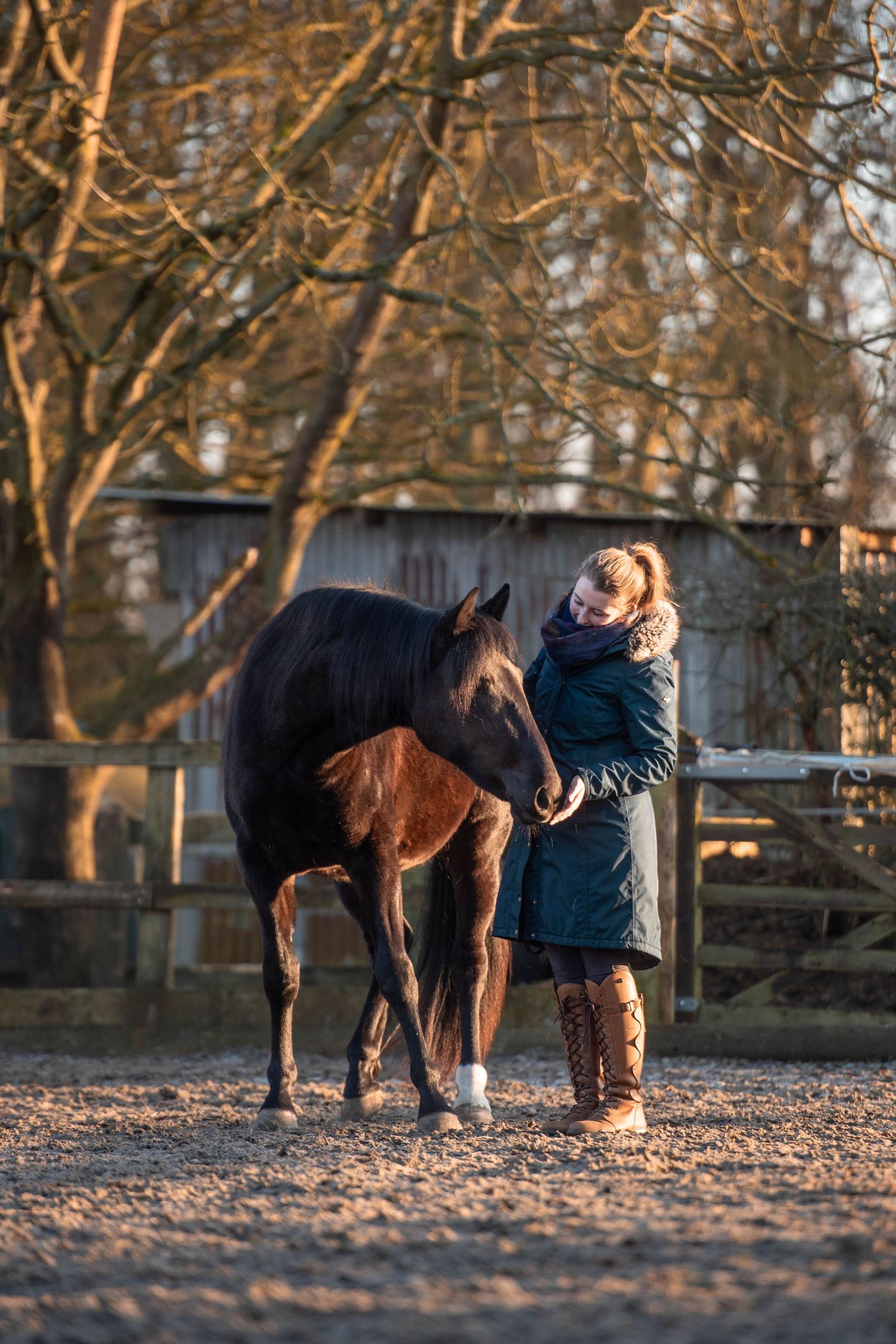 Woman in teal winter coat feeding a dark horse in a sandy paddock at golden hour.
