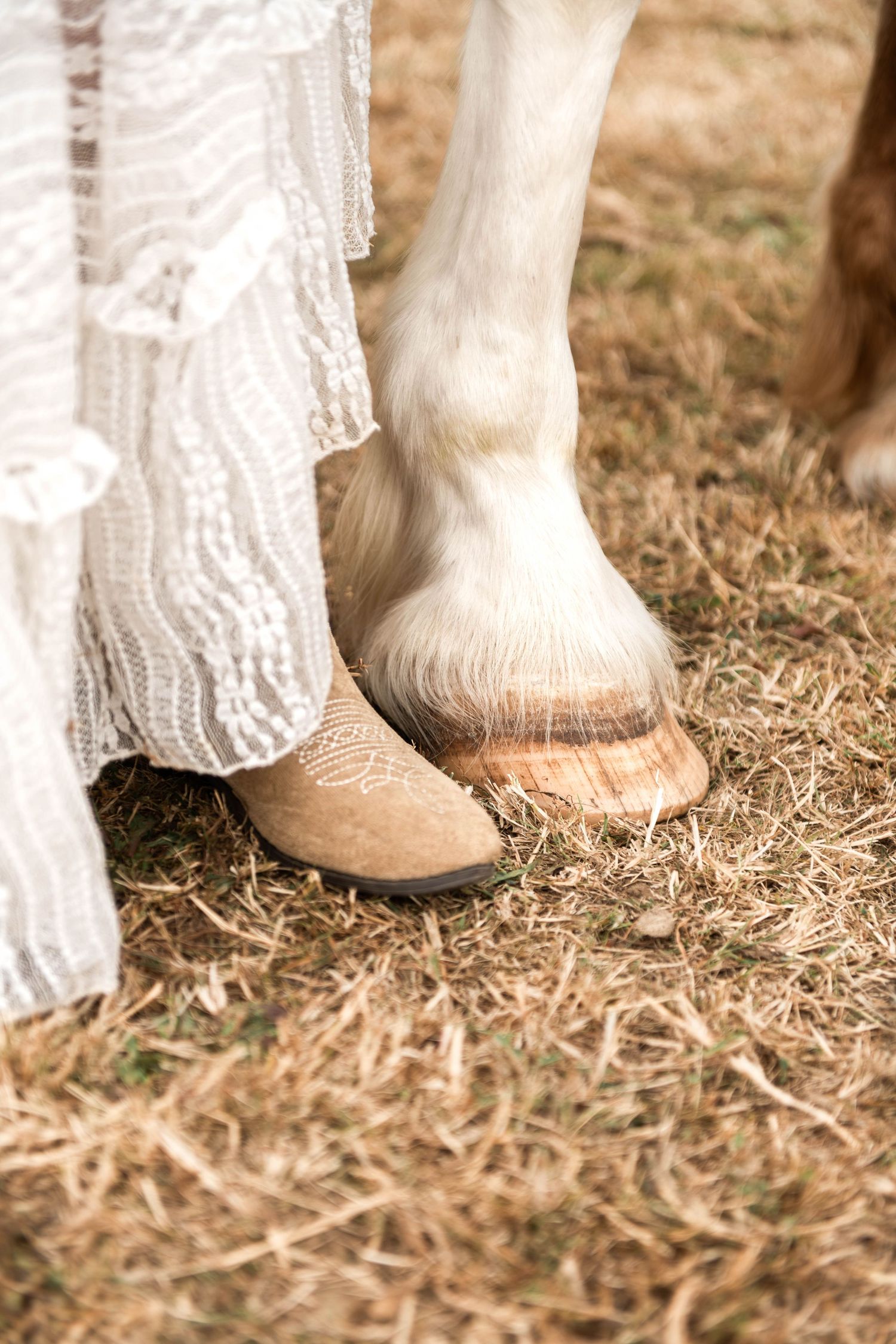 Close-up of a white horse hoof beside a person in a white lace dress and tan cowboy boot on dry grass.