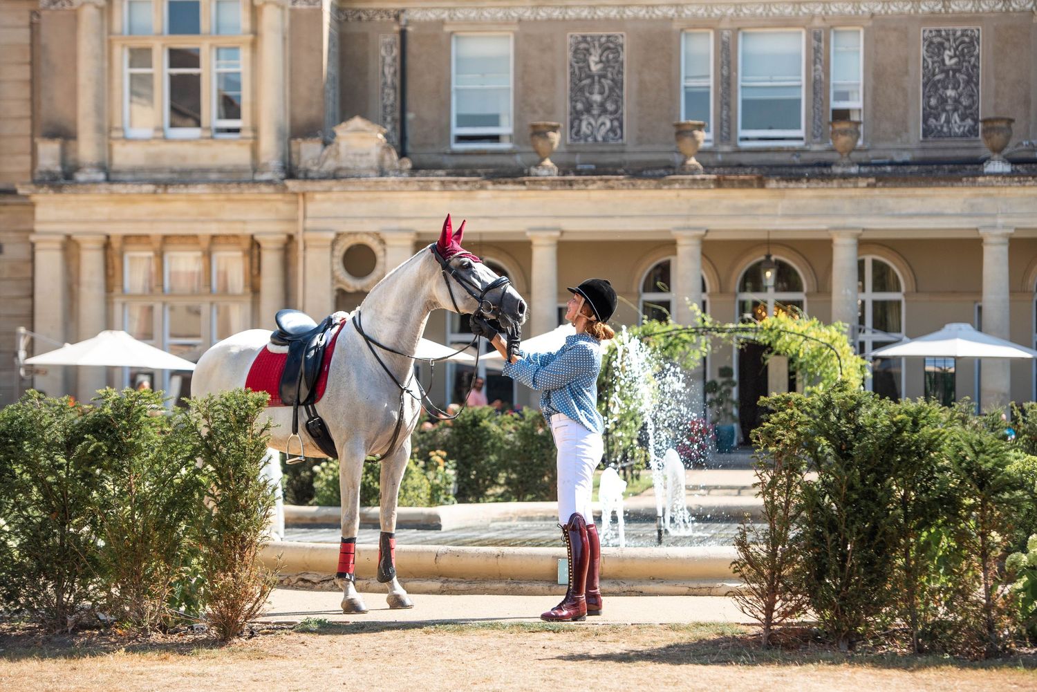 Rider in equestrian attire interacting with a grey horse by a fountain outside a grand historic building.