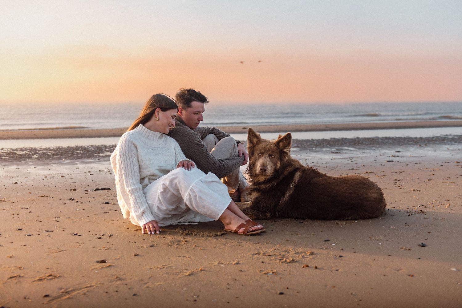 Couple sitting on beach at sunset with large brown dog, enjoying peaceful ocean view together.