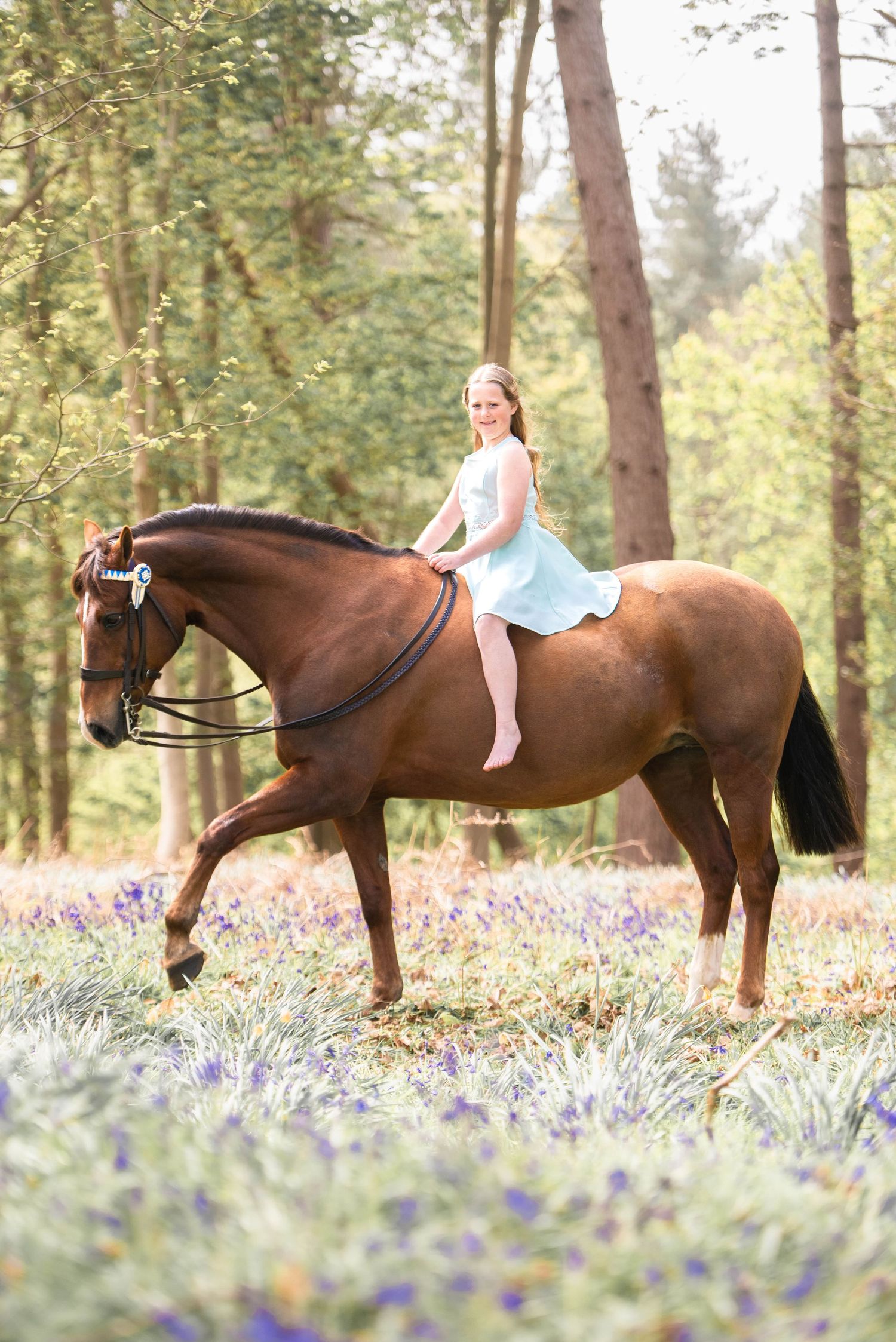 Young girl in light blue dress riding a chestnut horse bareback through bluebell woods.