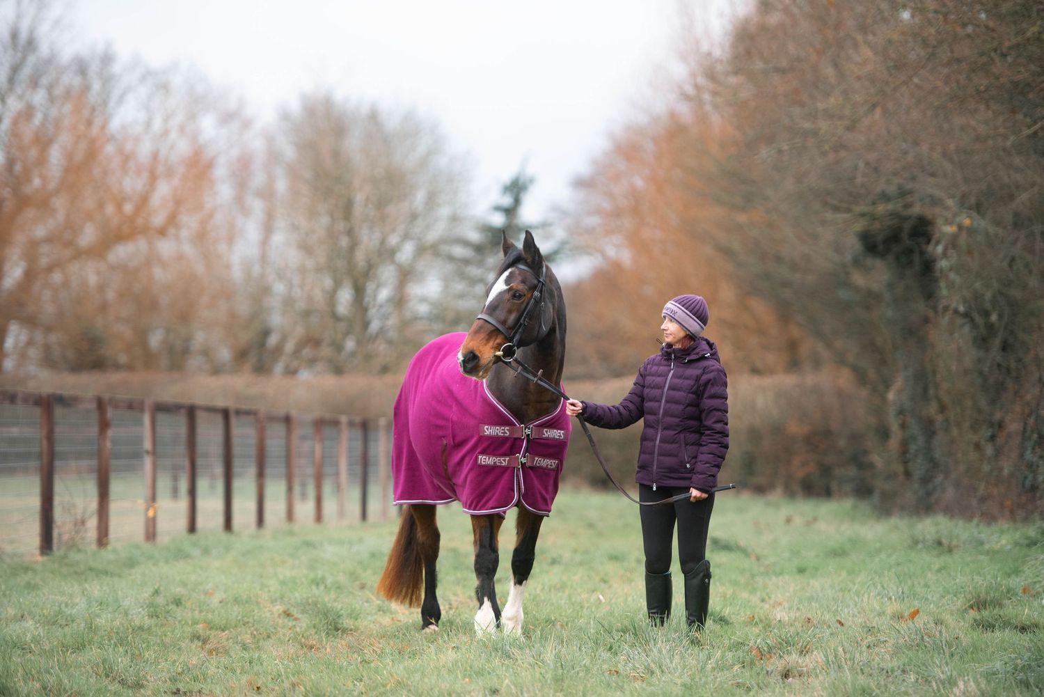 Young girl in purple jacket leading a dark horse wearing a magenta blanket in a winter field.