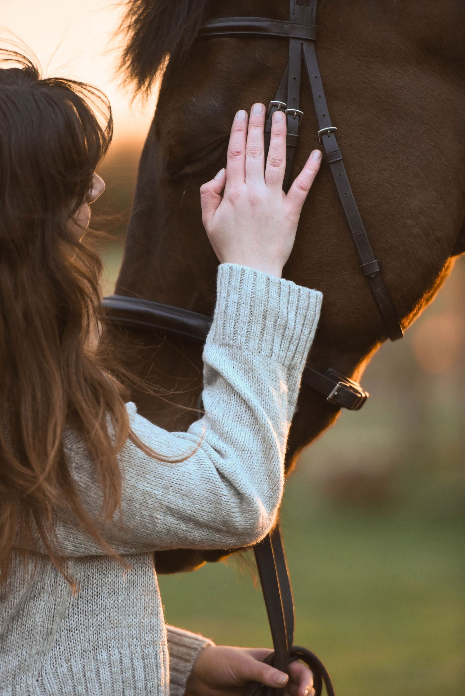 Close-up of a woman's hand gently stroking a brown horse's face in warm sunset light.