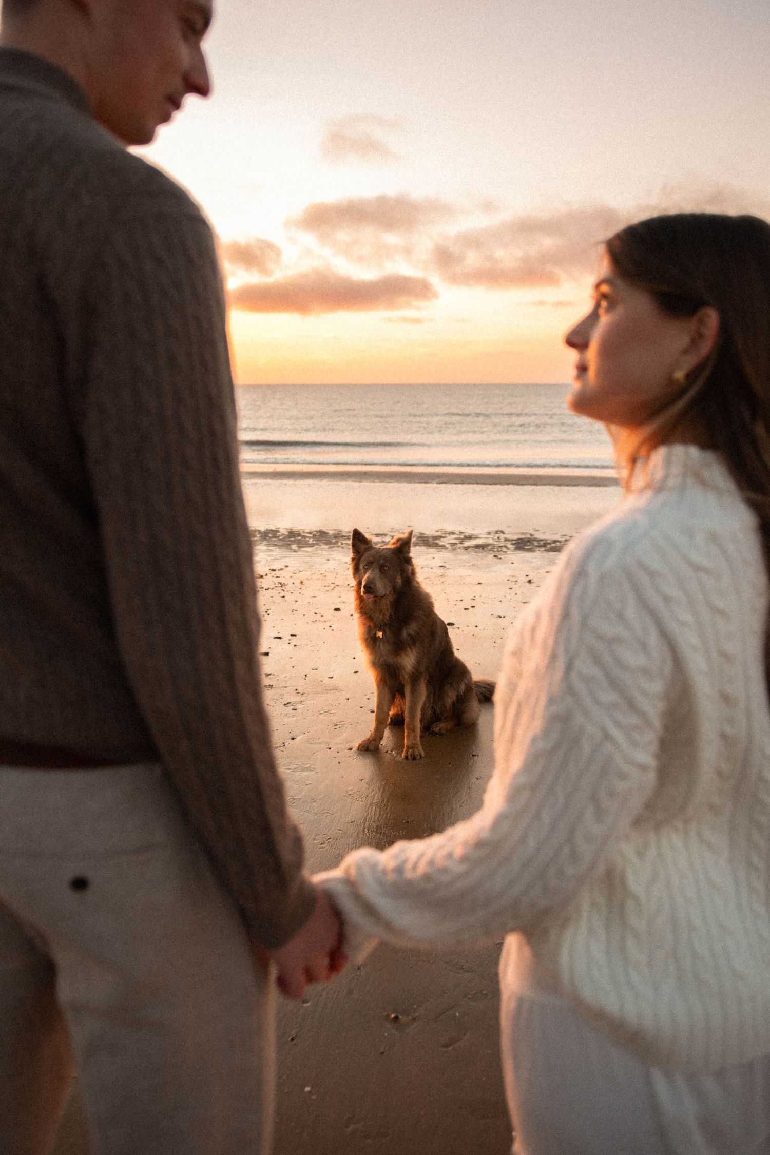 Couple holds hands on beach at sunset with German Shepherd dog sitting before them.