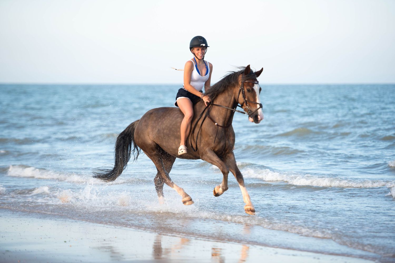 Female rider on chestnut horse galloping along a sandy beach shoreline.