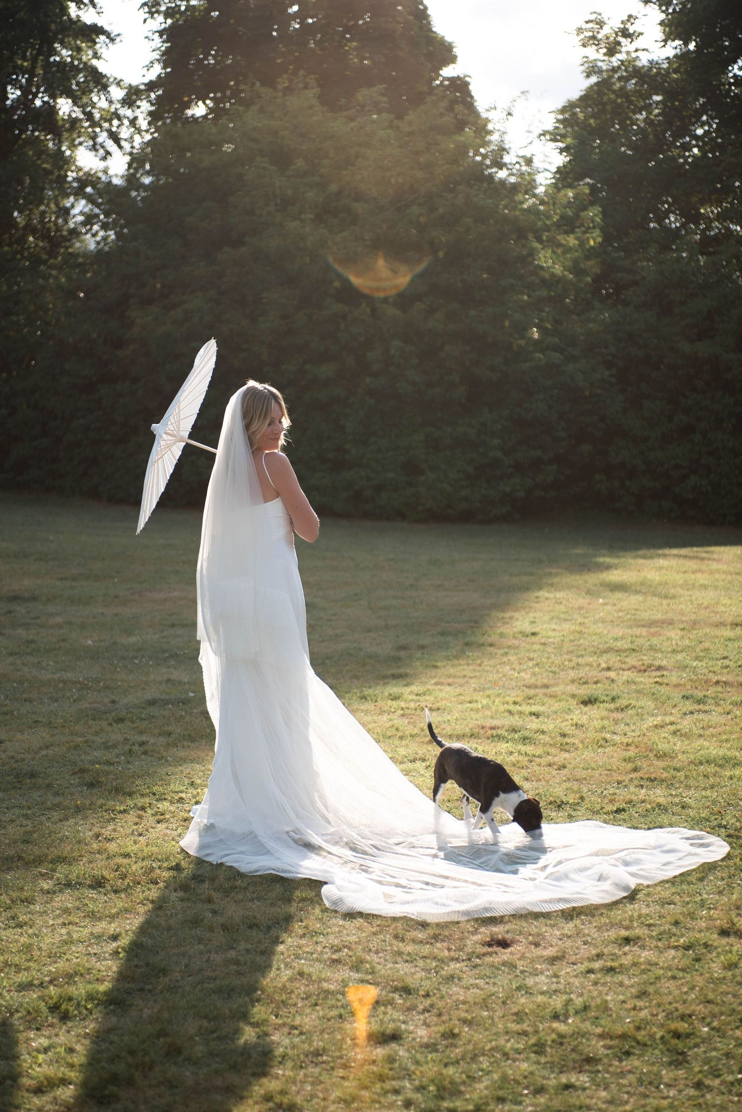 Bride in flowing white gown holds parasol while a small dog sniffs her train in a sunlit garden.