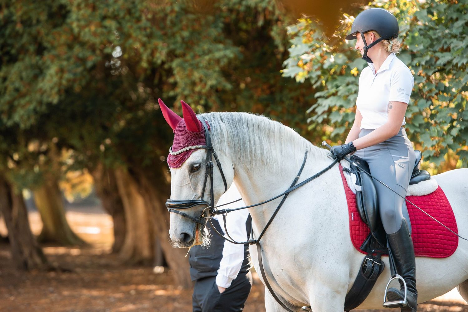 A female equestrian rides a white horse with red ear covers under golden autumn trees.