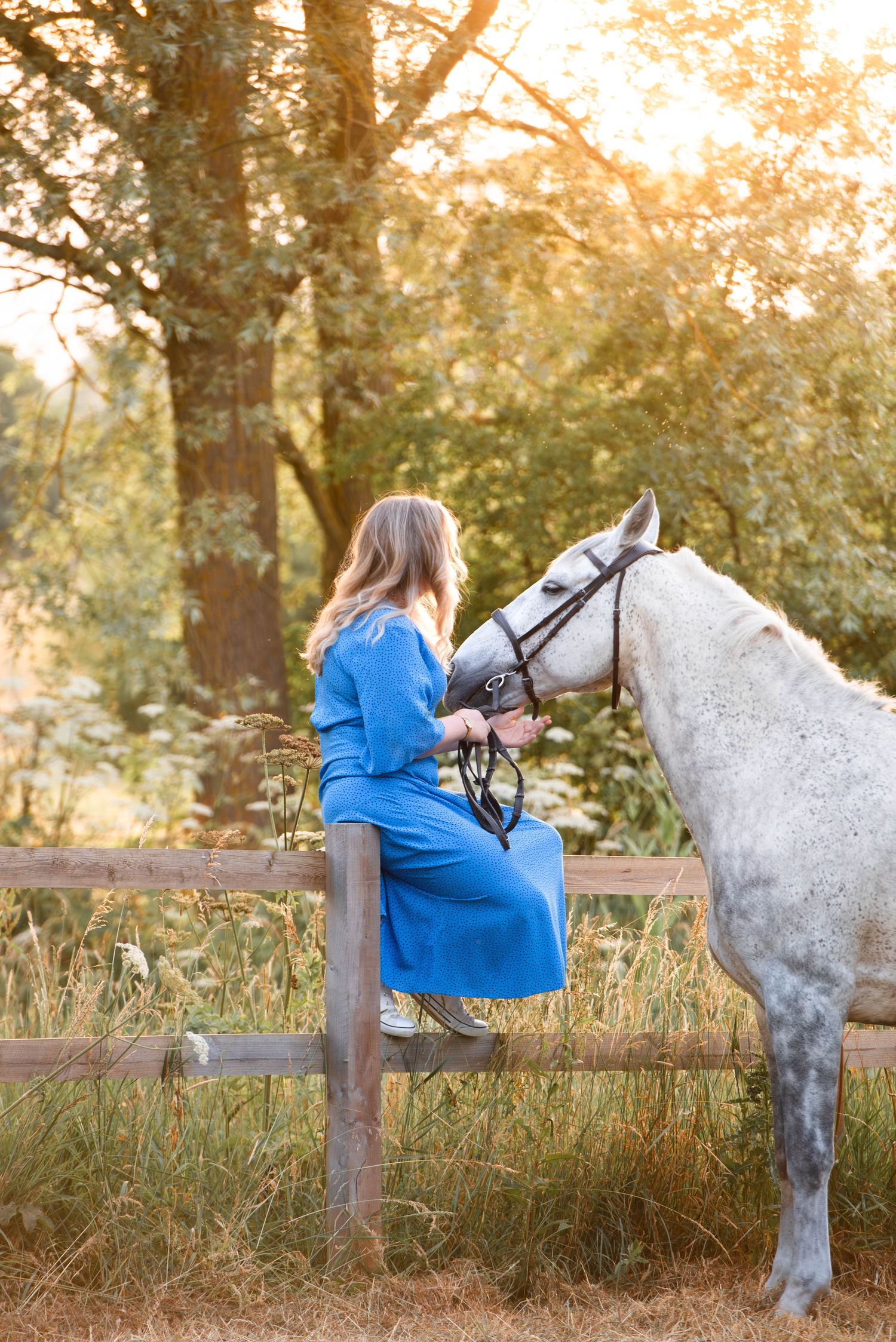Woman in blue dress sitting on fence bonding with grey horse at golden hour.
