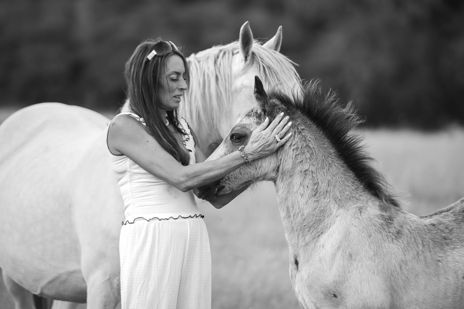 A woman in a white dress tenderly touches the face of a white horse in a serene outdoor setting.