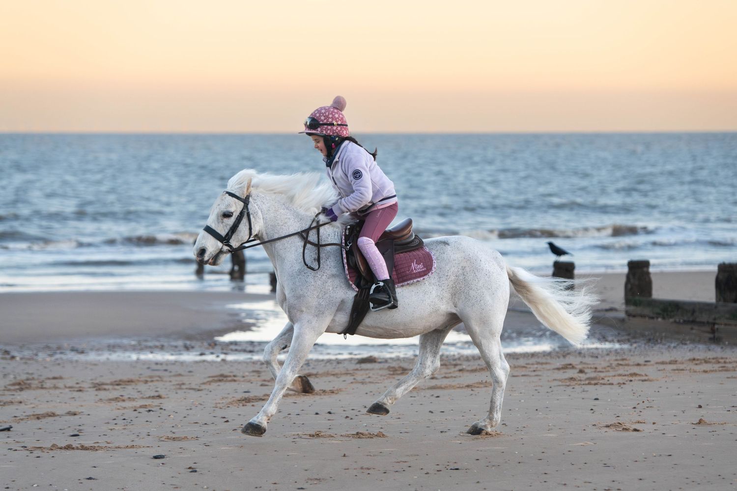 Child in pink outfit rides white horse along sandy beach at sunset.
