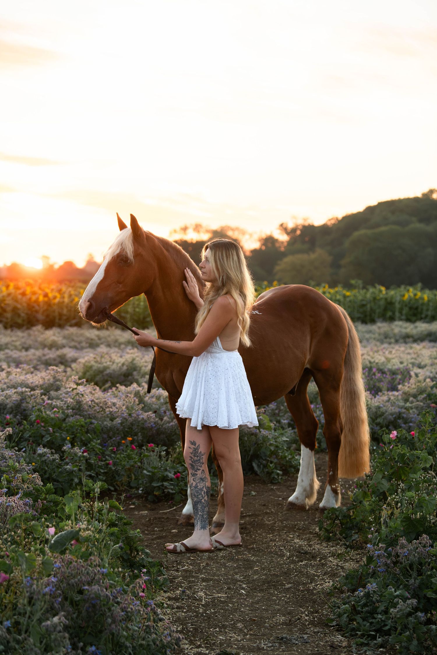 Blonde woman in white dress with leg tattoo stands beside a chestnut horse in a flower field at golden sunset.