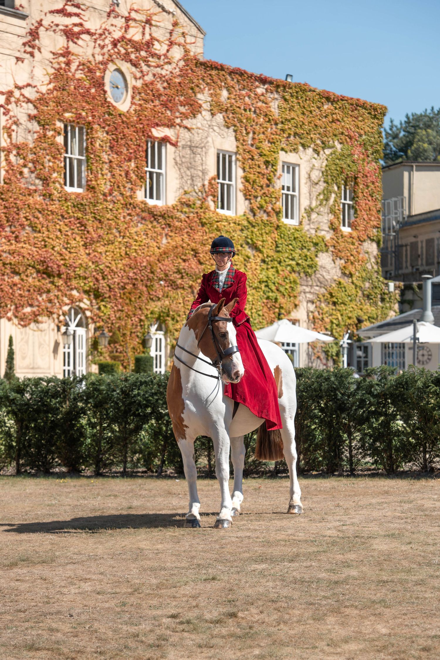 A rider in a red dress on a white horse poses before an ivy-covered building in autumn.