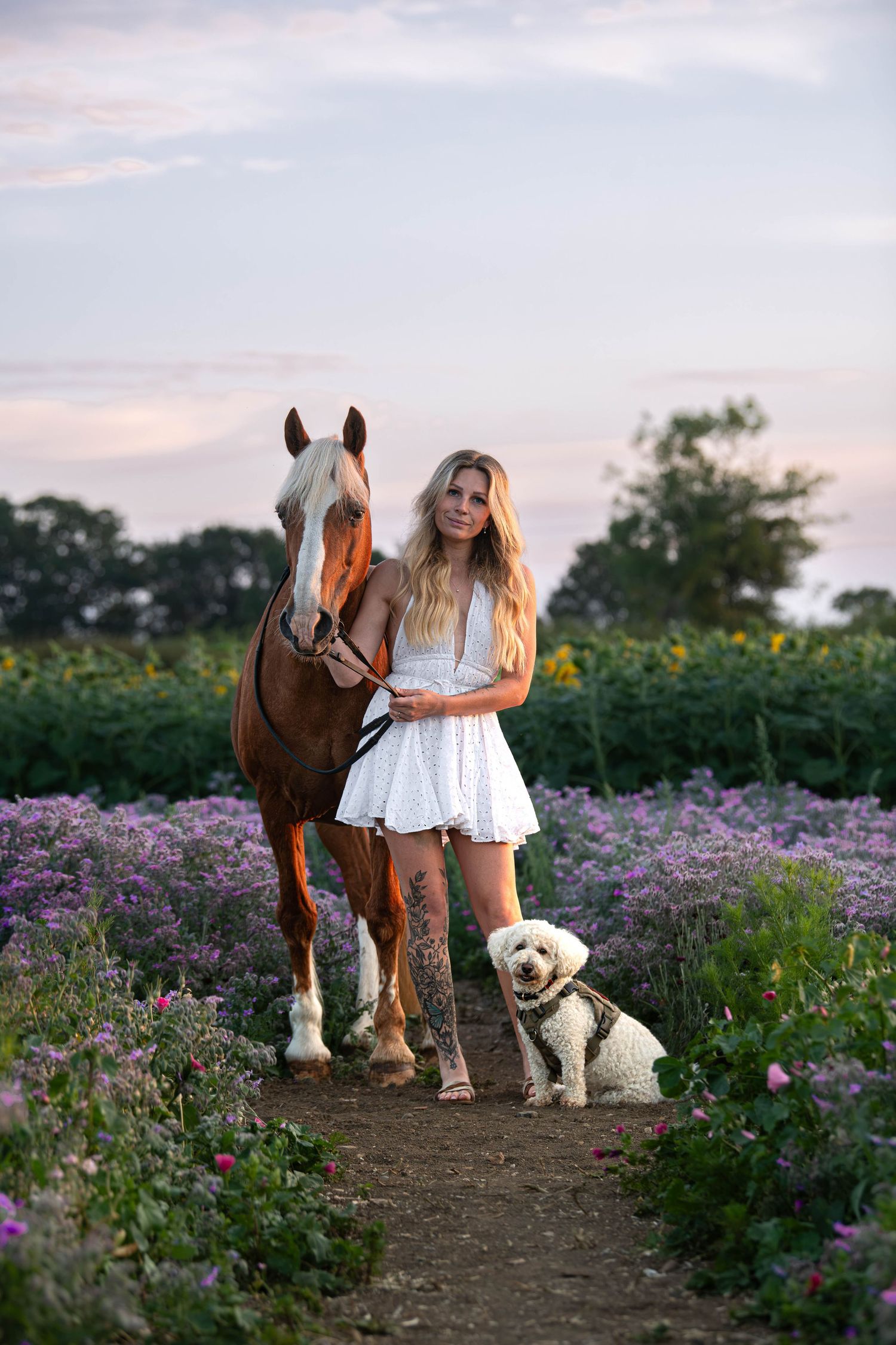 Woman in white dress stands with chestnut horse and white fluffy dog in a colorful wildflower field at sunset.