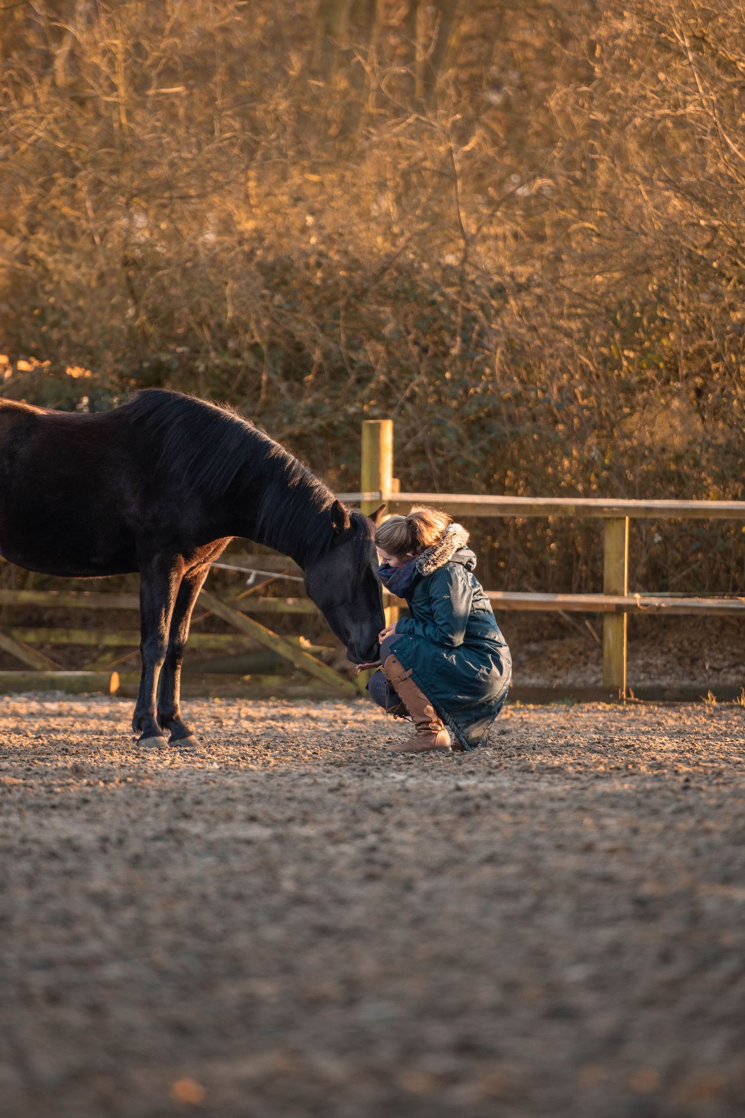 Woman kneeling on sandy ground bonding with a dark horse at warm sunset light.