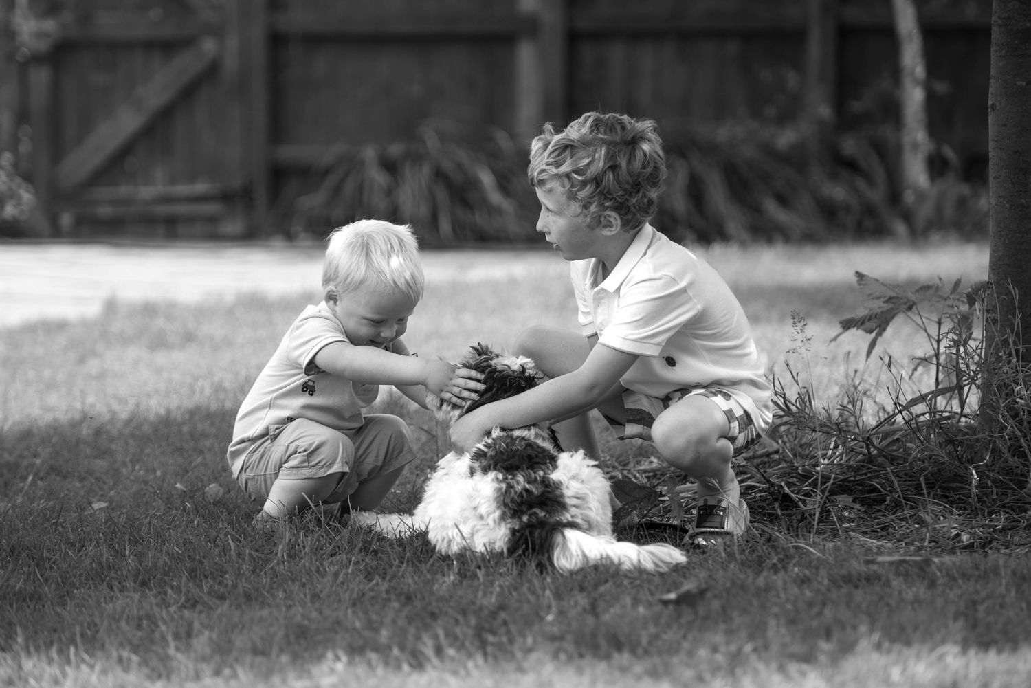 Two boys playing with a fluffy dog on grass in black and white photo.