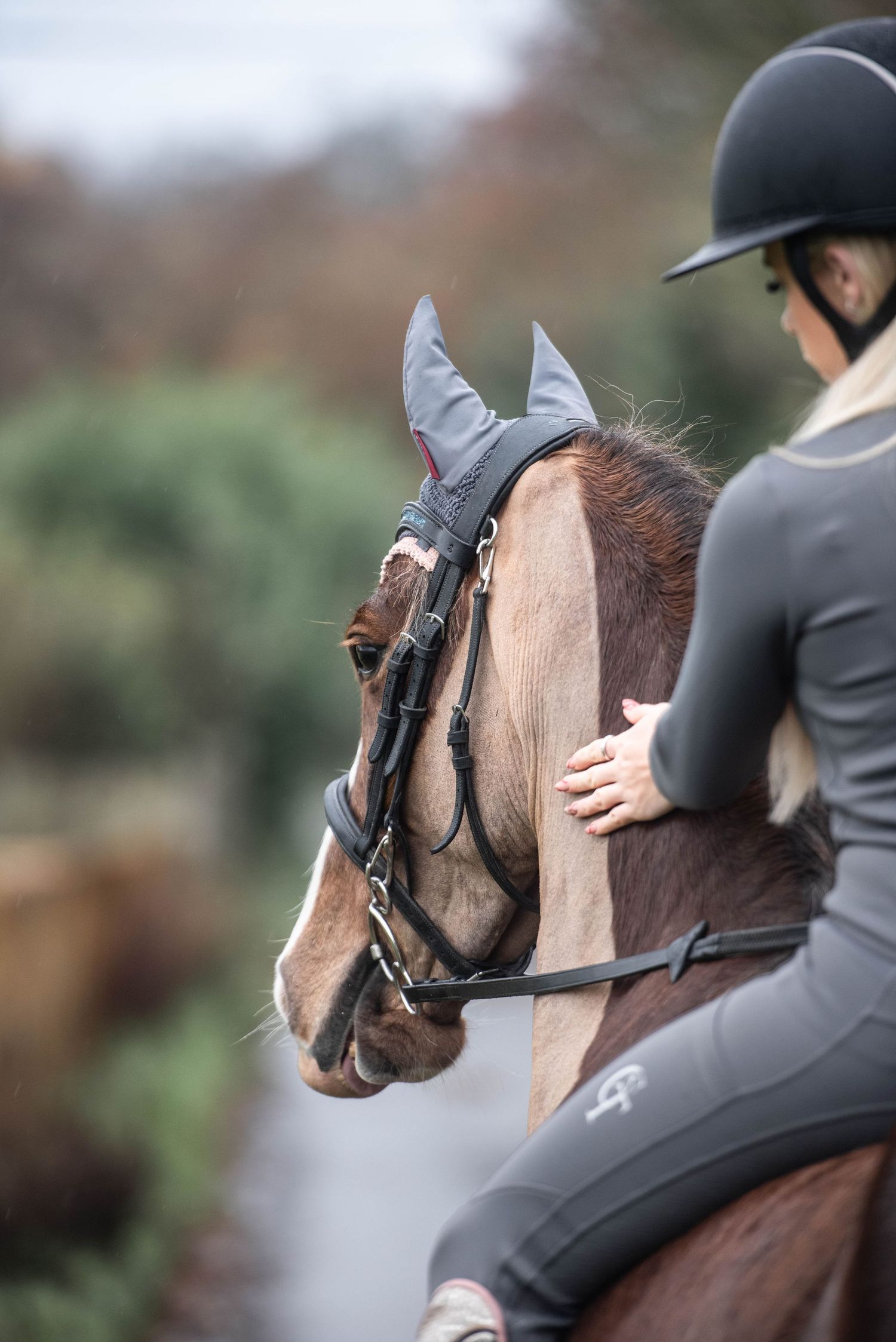 Female equestrian rider in grey attire patting a chestnut horse wearing a dark fly veil bridle.