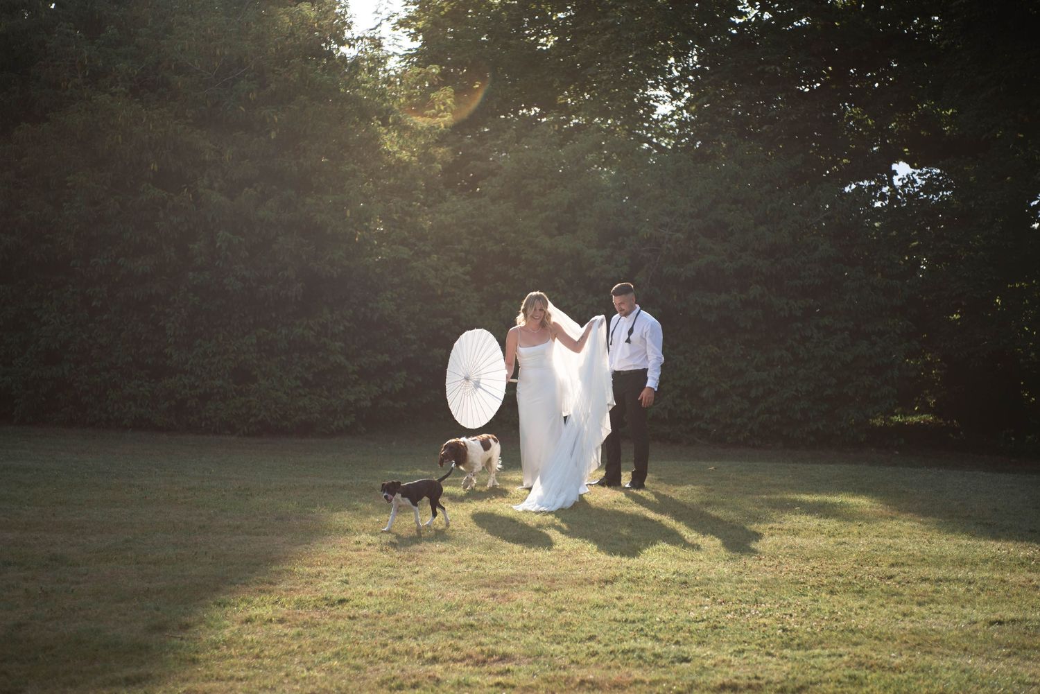 Bride and groom walk across sunlit lawn with a dog and white parasol in a lush green garden.
