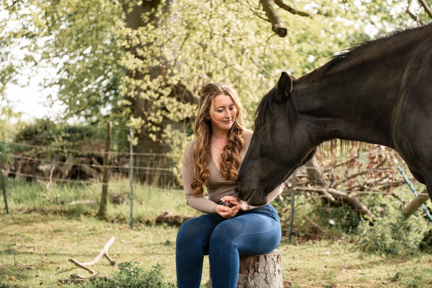 Young woman sitting on a tree stump smiling at a black horse in a lush green outdoor farm setting.