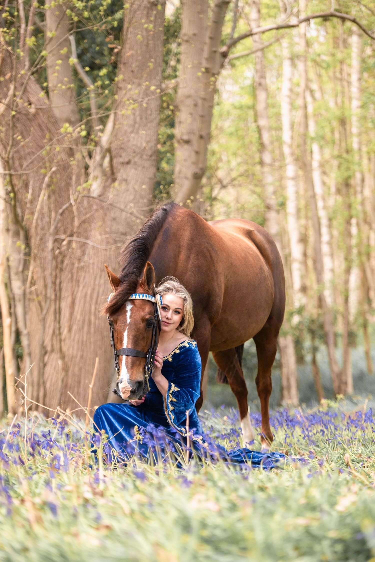 Blonde woman in blue gown kneeling with a chestnut horse in a bluebell woodland.